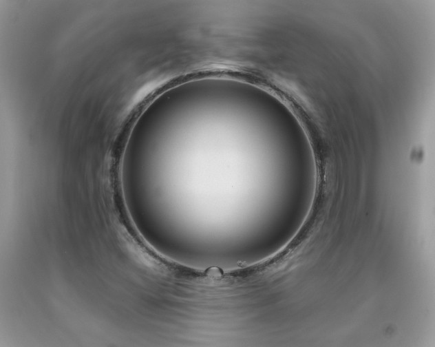 X0000091981404200709061344