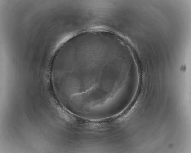 X0000091981405200709061344
