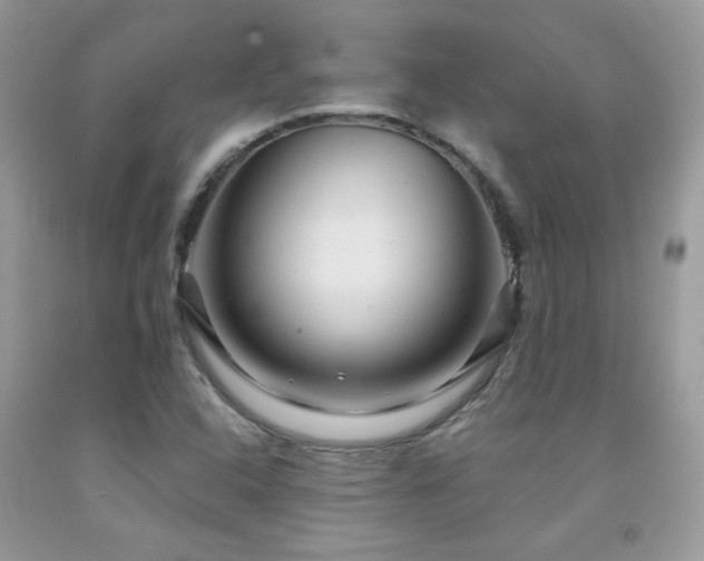 X0000091981408200709061344