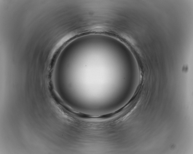 X0000091981410200709061344