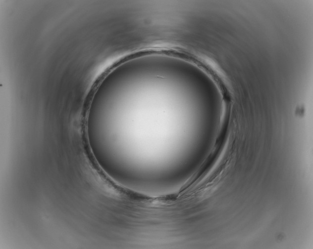 X0000091981412200709061344