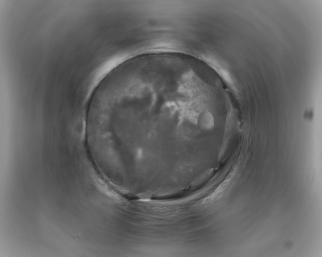 X0000091981413200709061344