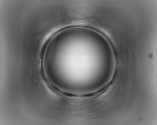 X0000091981414200709061344