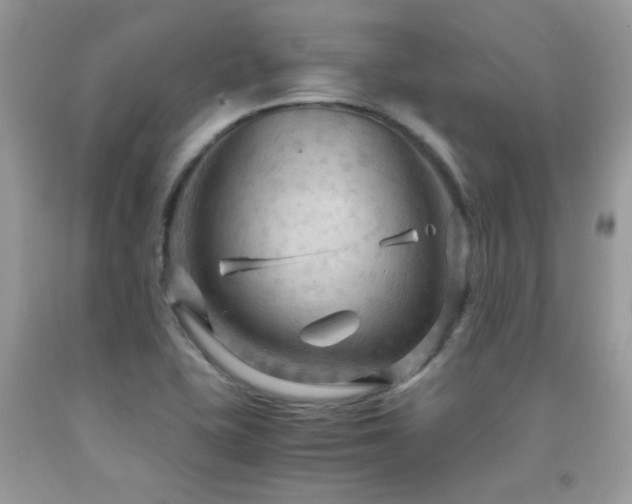 X0000091981415200709061344