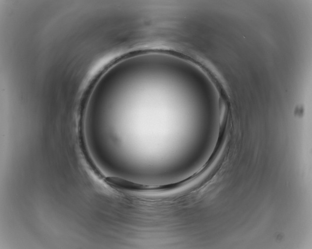 X0000091981416200709061344