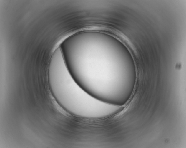 X0000091981417200709061344