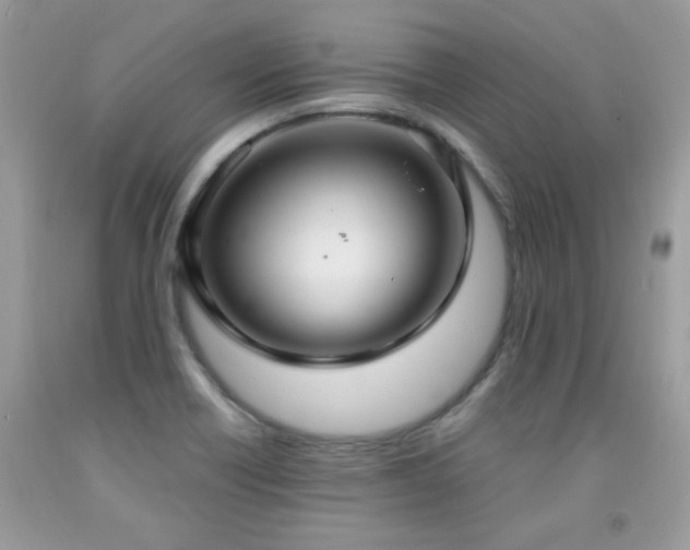 X0000091981418200709061344