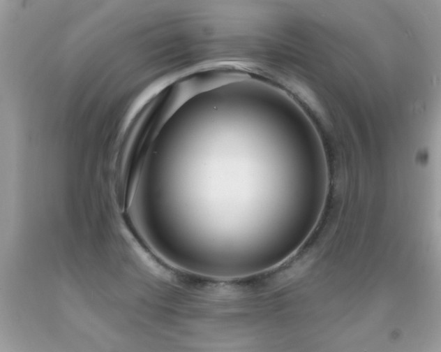 X0000091981420200709061344