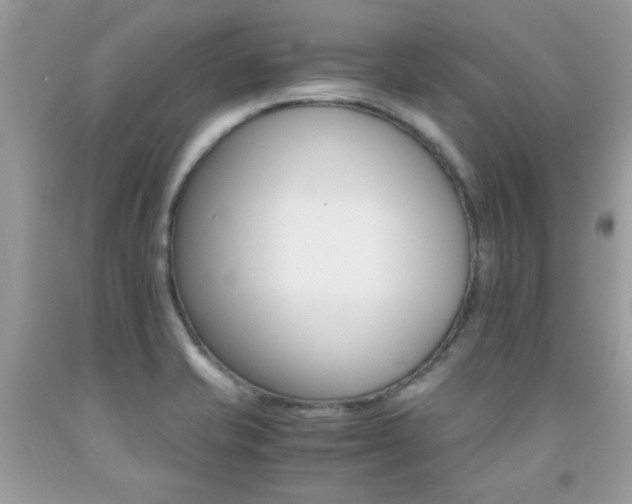 X0000091981421200709061344