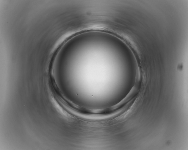 X0000091981422200709061344