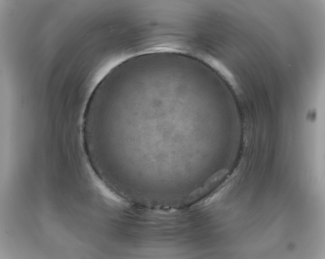X0000091981423200709061344