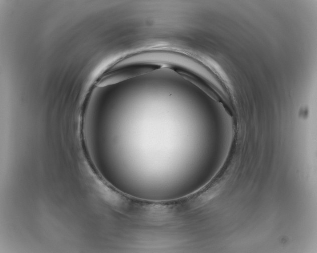X0000091981424200709061344