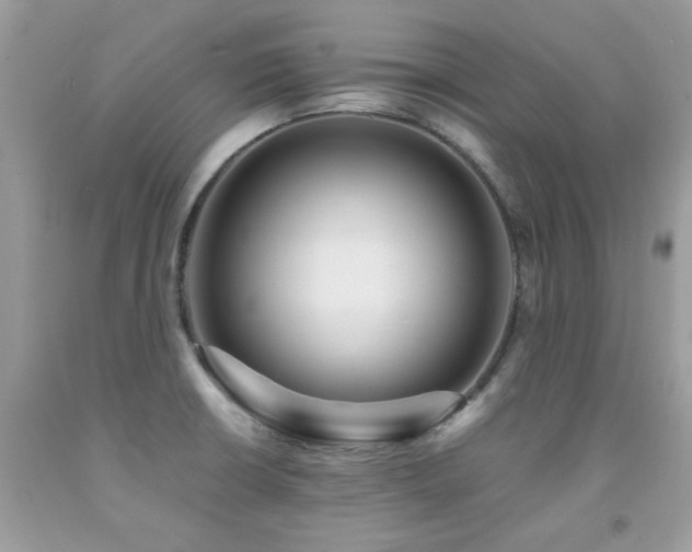 X0000091981426200709061344