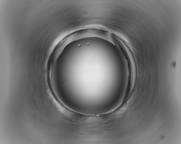 X0000091981430200709061344