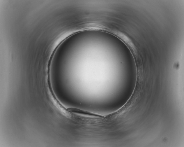 X0000091981431200709061344