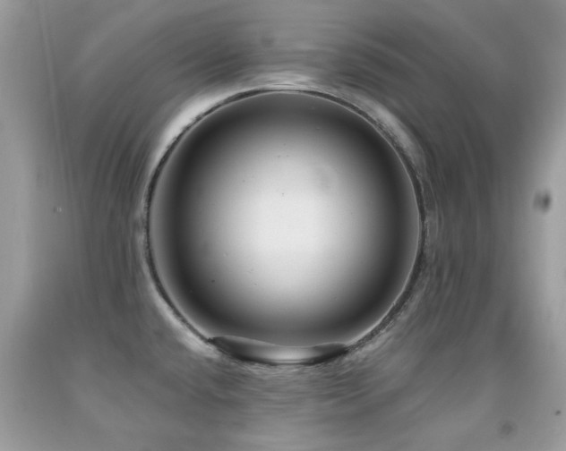 X0000091981432200709061344