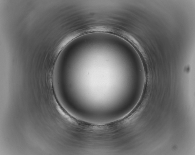 X0000091981433200709061344