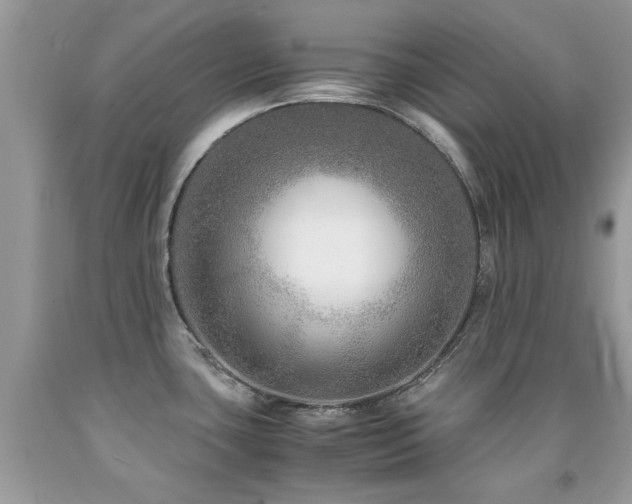 X0000091981435200709061344