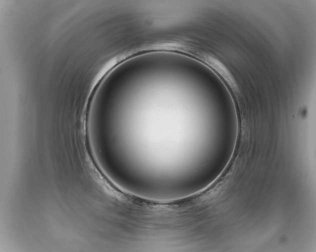 X0000091981436200709061344
