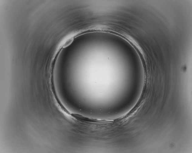 X0000091981437200709061344