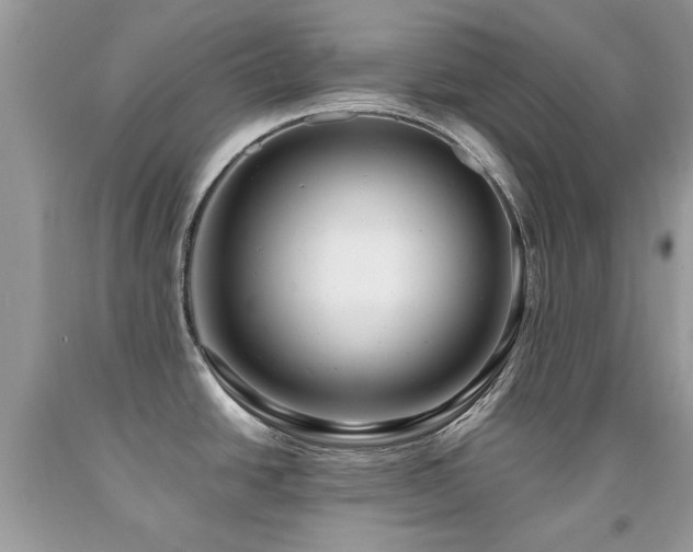 X0000091981438200709061344