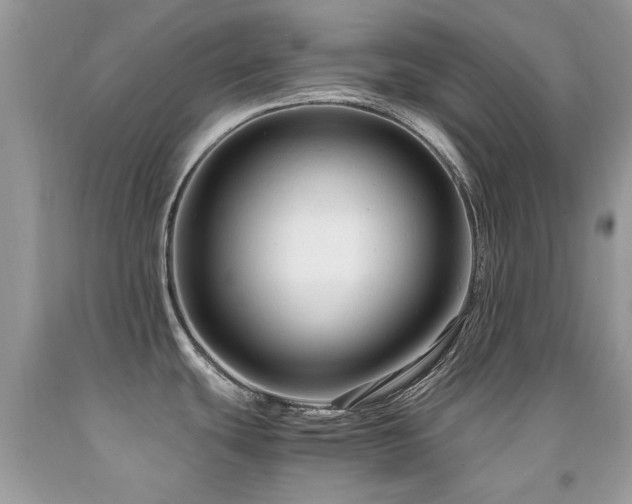 X0000091981439200709061344