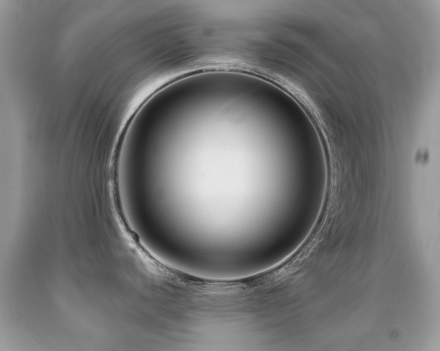 X0000091981440200709061344