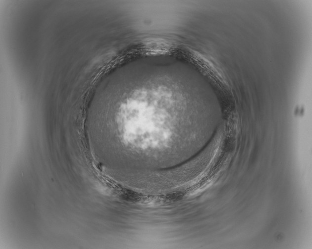 X0000091981441200709061344