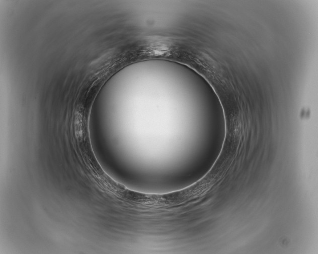X0000091981442200709061344