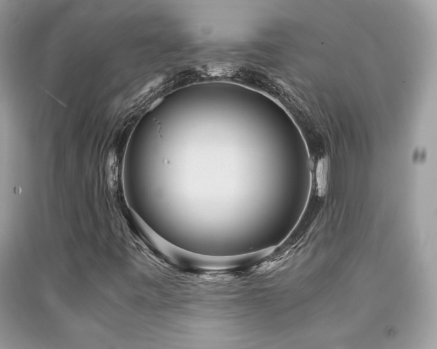 X0000091981443200709061344