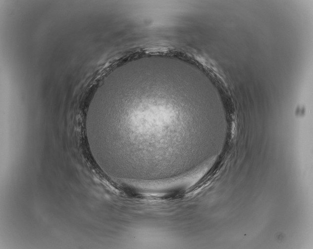 X0000091981445200709061344