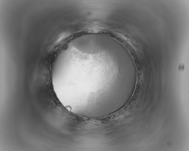 X0000091981446200709061344