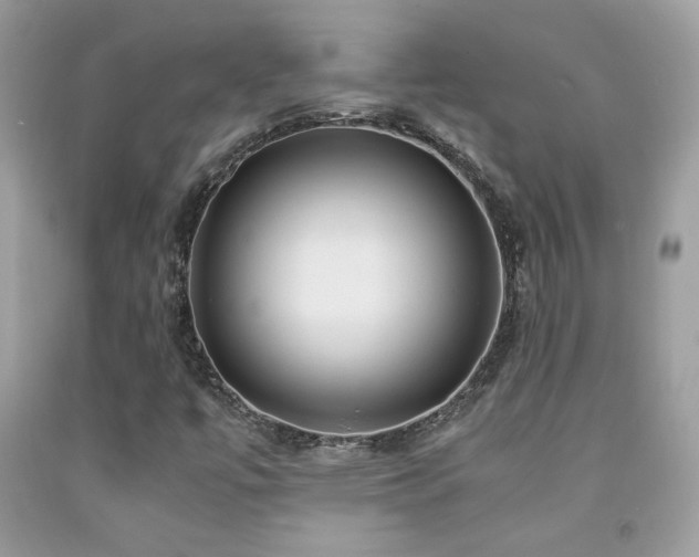 X0000091981447200709061344