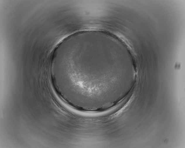 X0000091981449200709061344
