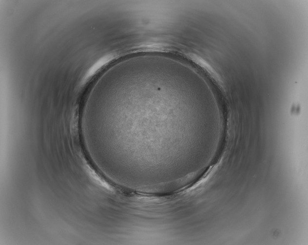 X0000091981450200709061343