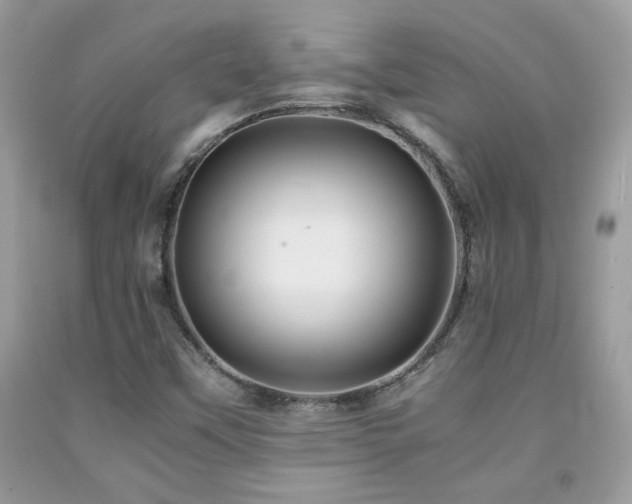 X0000091981451200709061343