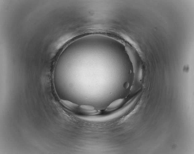 X0000091981453200709061343