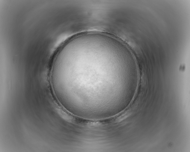 X0000091981454200709061343