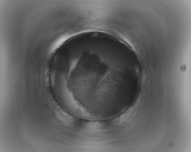 X0000091981455200709061343