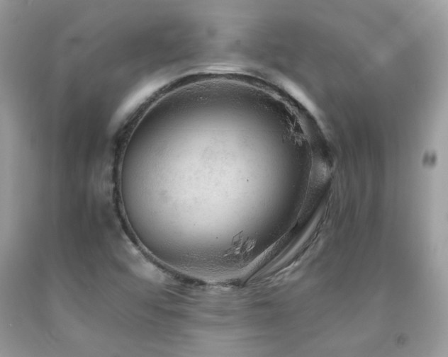 X0000091981456200709061343
