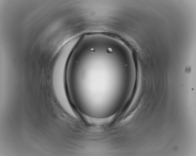 X0000091981457200709061343