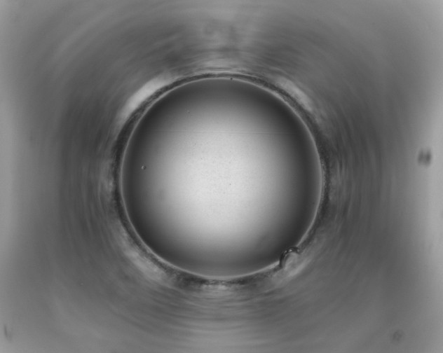 X0000091981458200709061343