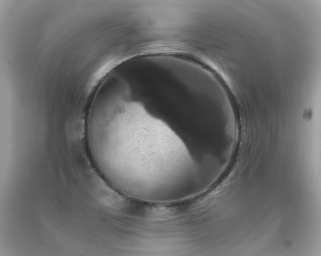 X0000091981459200709061343