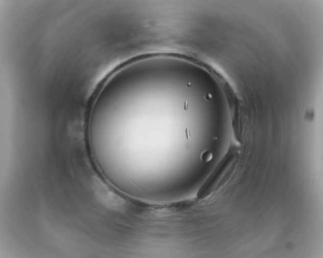X0000091981460200709061343