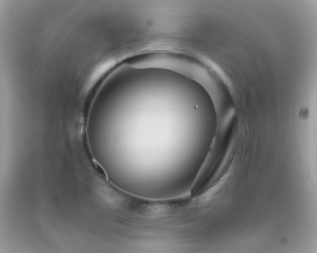X0000091981461200709061343