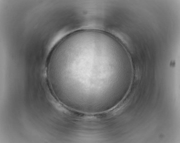 X0000091981462200709061343