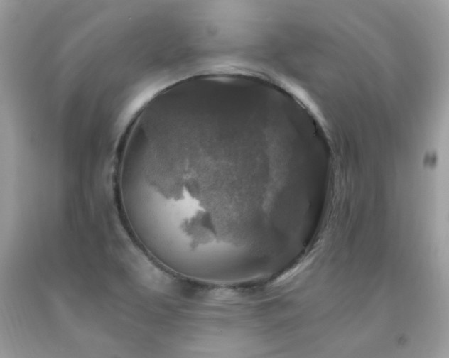 X0000091981463200709061343