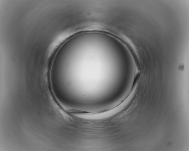 X0000091981464200709061343
