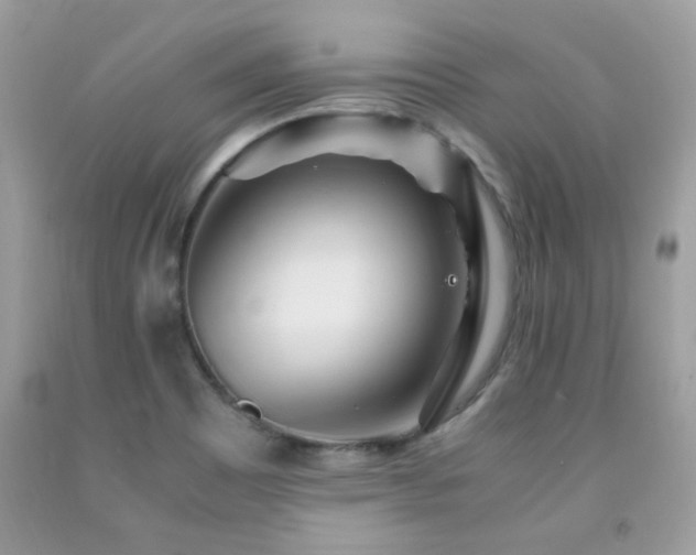 X0000091981465200709061343