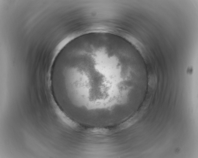 X0000091981466200709061343